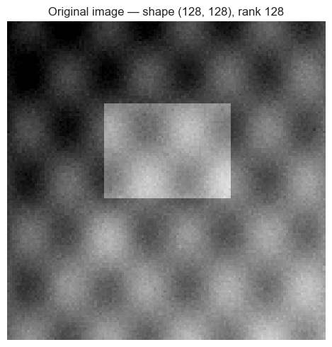 <Figure size 500x500 with 1 Axes>