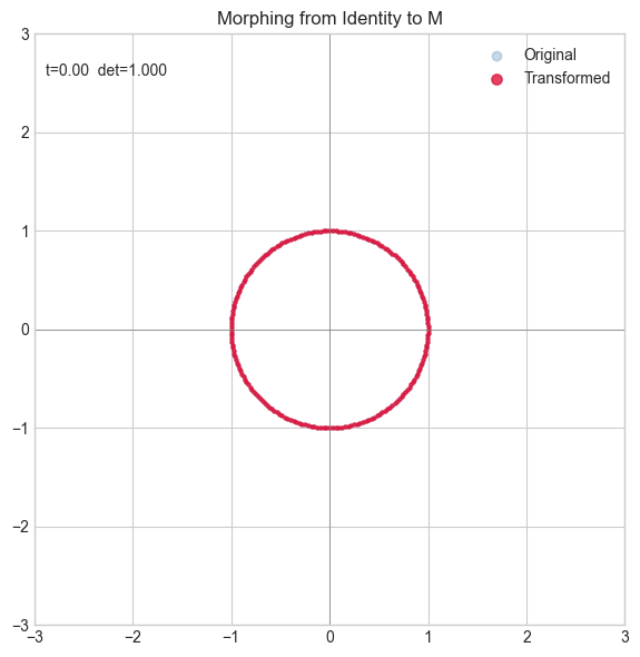 <Figure size 600x600 with 1 Axes>