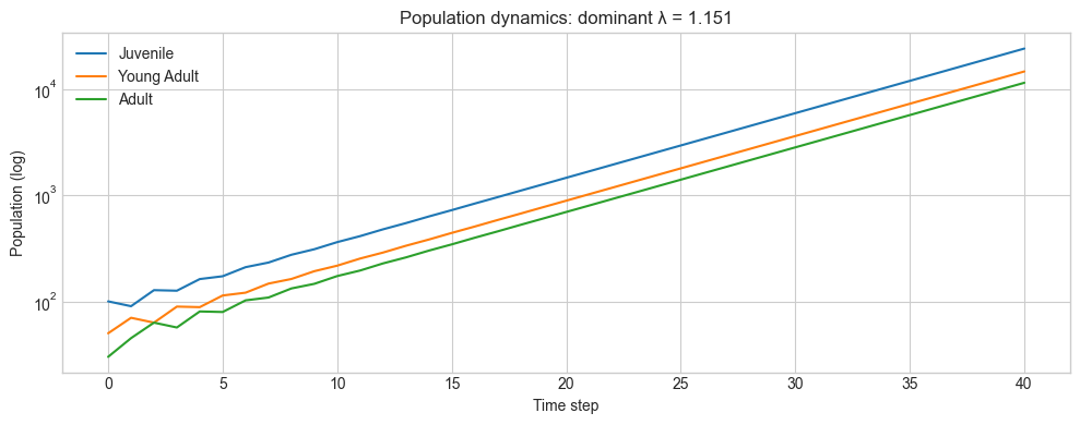 <Figure size 1000x400 with 1 Axes>