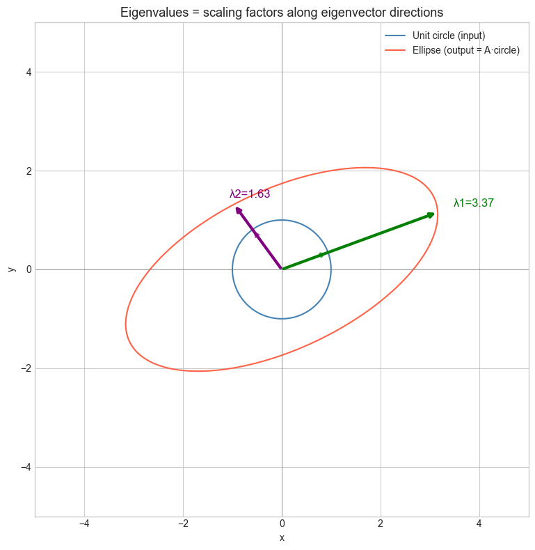 <Figure size 800x800 with 1 Axes>