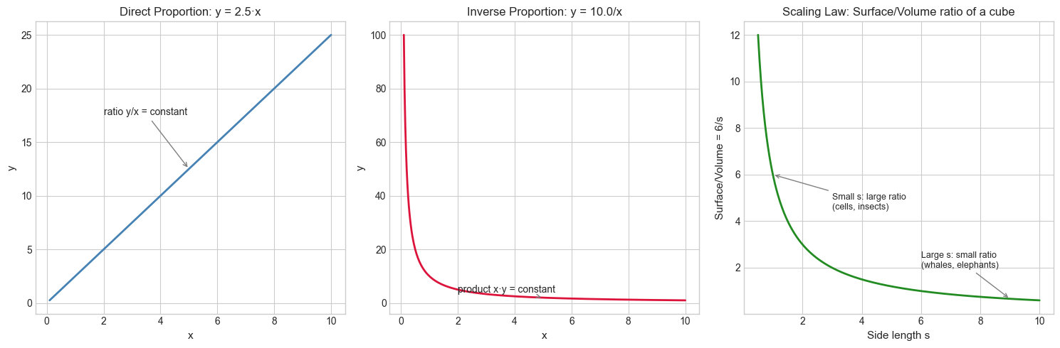 <Figure size 1500x500 with 3 Axes>