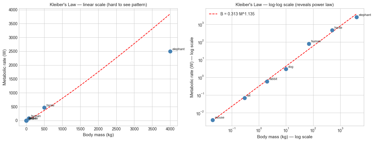 <Figure size 1300x500 with 2 Axes>